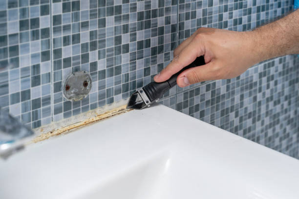 Best Emergency Mold Remediation in Bedminster, NJ