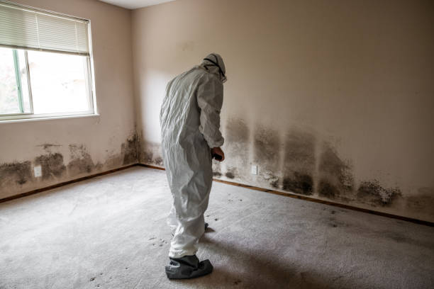 Best Bathroom Mold Remediation in Bedminster, NJ